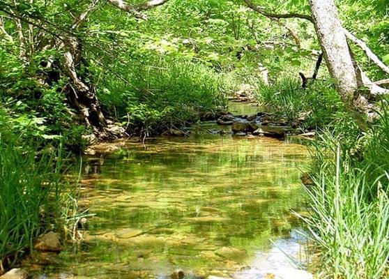 Ozarks Creek on land for sale in Missouri from Homestead Crossing