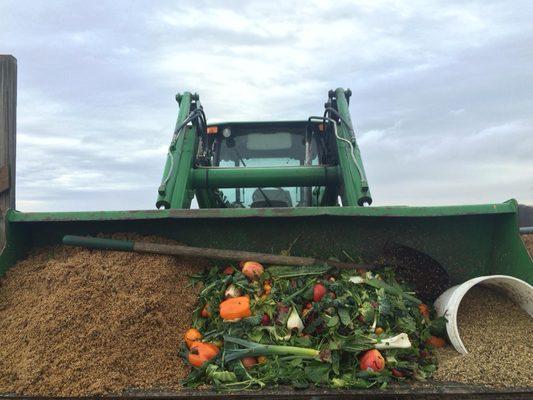 Delicious organic vegetables, spent grain and rolled oats to feed to our pigs!