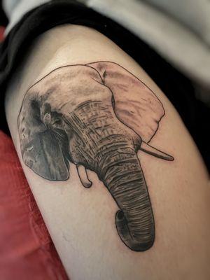 Realistic elephant.