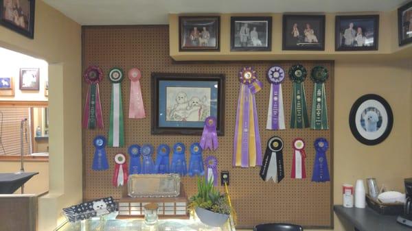 These are some of the ribbons that they have on the back wall of the place inside.