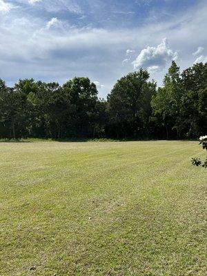 Lawn mowed & weeds cut in for client in Pamplico SC, 3.5 acre plot with house