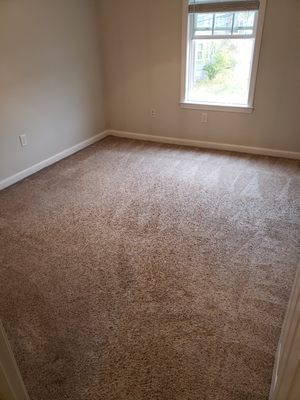 Synthetic Carpet deep clean