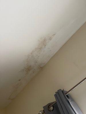 Water damage on ceiling