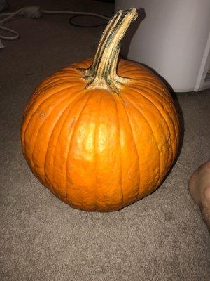 $7 pumpkin I bought, the lady tried to ask for $10 but they have a comparison on the side with prices about the sizes