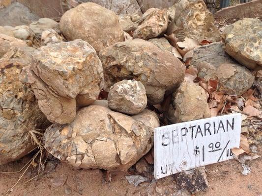 Septarian nodules, busted open & whole