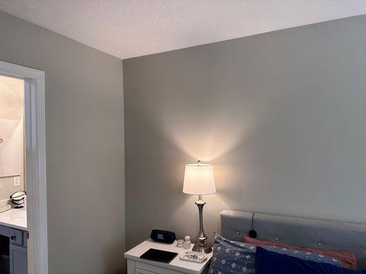 Indoor painting project: master bedroom walls and ceiling.