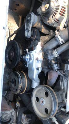 Water pump job