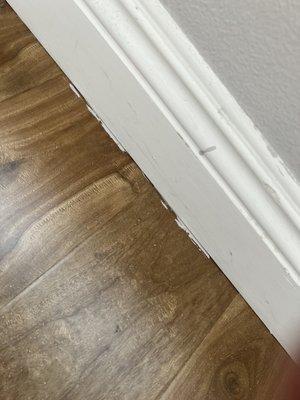 My moldings after their professional paint job. The paint on the floor is also froM this painter.