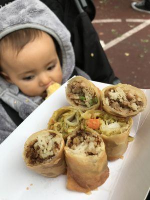 Sam's Spring Roll