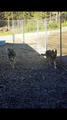 Kaia on the right hanging with a friend there