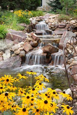 Koi pond