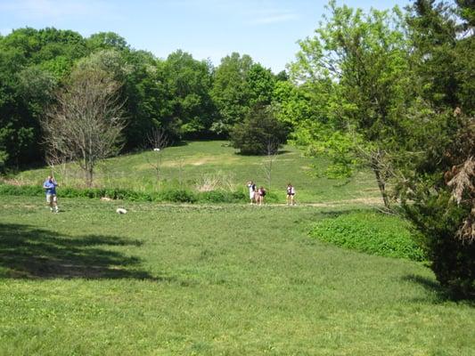 The no-leash area, north section