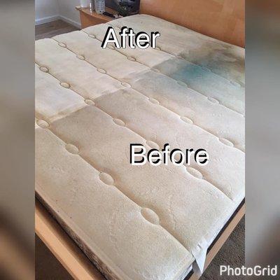 What's in your mattress? We clean those too!