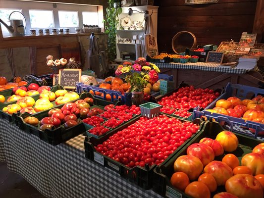 Tomato selection at the whitegate farm class