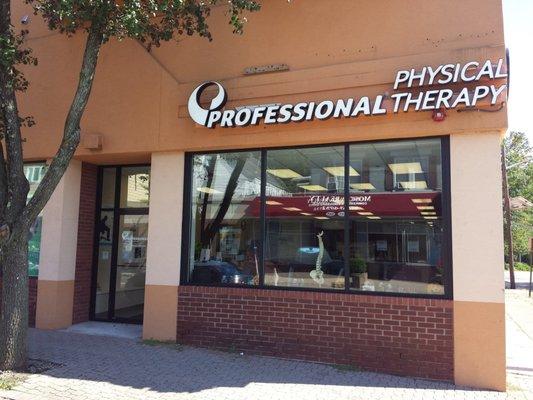 Professional Physical and Hand Therapy