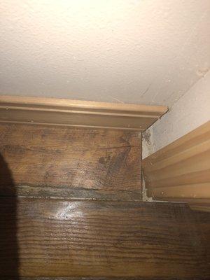 Multiple areas around walls and doorframes they didn't cut properly or fill huge gaps.