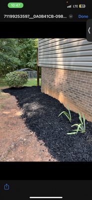 Mulch job