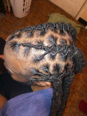 TreeTop Magic Locs