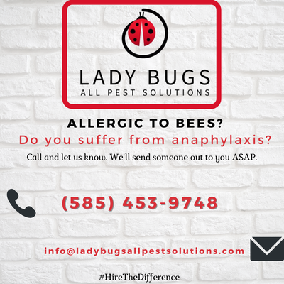 We take allergies very seriously. Call ASAP if you have anaphylaxis and there are bees or wasps entering your home.