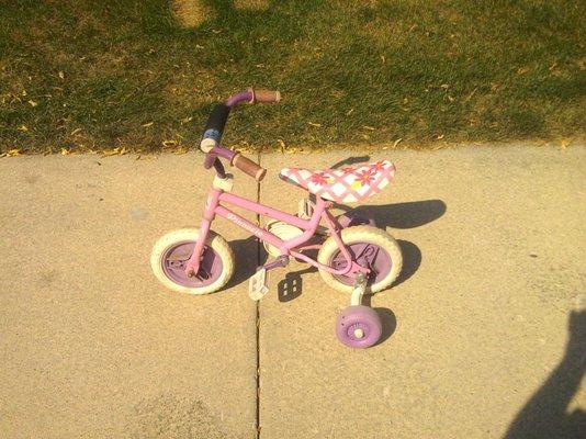 12 Inch Girls Pinnacle Kids Bike