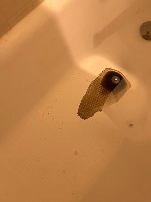 My bathtub with feces ibacked up from my toilet. 4 days. Still waiting for maintenance.