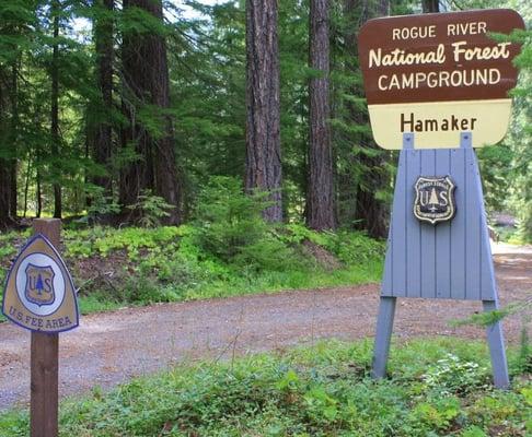 Hamaker Campground Rogue River National Forest