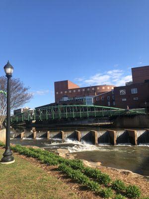 View from Swamp Rabbit Trail