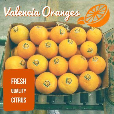 Fresh quality citrus your customers will appreciate and enjoy!