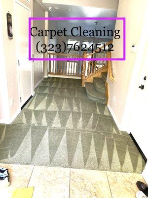 LOW COST CARPET & UPHOLSTERY CLEANING