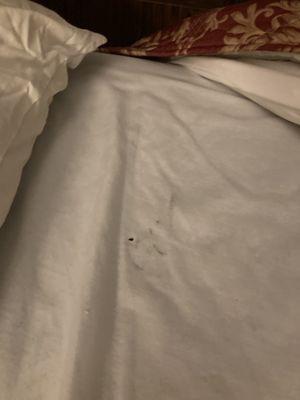 Dirty sheets