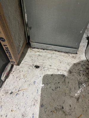 Water leaking from our furnace that destroyed the floors outside our utility closet.