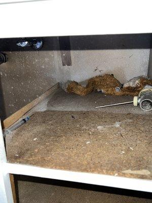 Syrenges with needles in bathroom cabinets AND MORE TRASH