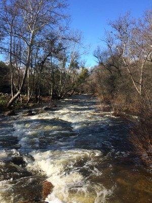 The North Fork of the Kaweah high water