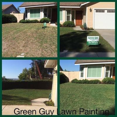 Green Guy Lawn and Landscape Painting