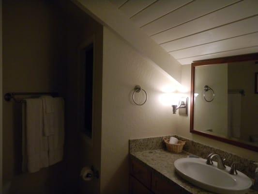 Loft Bathroom (upstairs)