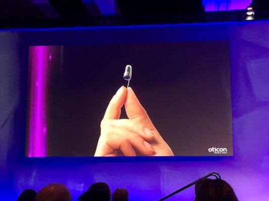 Smallest hearing aid   Invisible-in-the-ear (IIC)