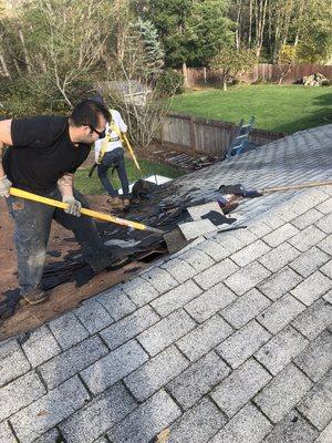 Select demo roofing removal