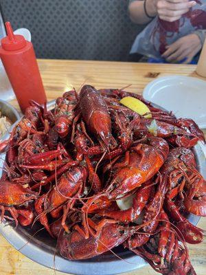 5lbs crawfish huge!