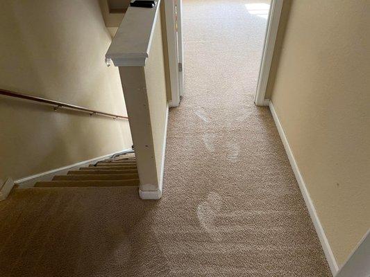 Complete Carpet Care