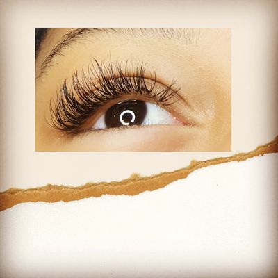 Pure Lash And Brow Studio