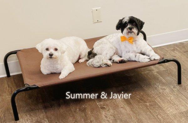 Summer & Javier hanging out in daycare