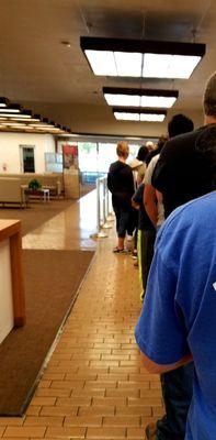 Banks in Madera are all like this, long ass lines..