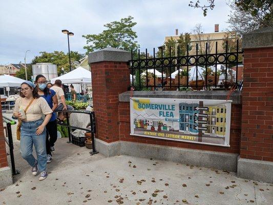 The Somerville Flea