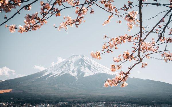 Mt. Fuji