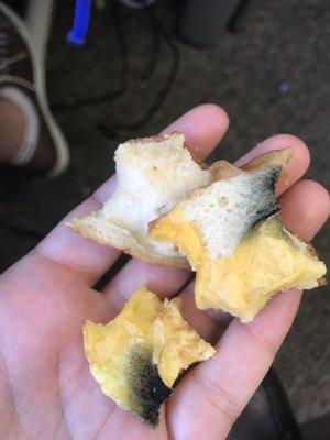 Breakfast sandwich with bagel  moldy