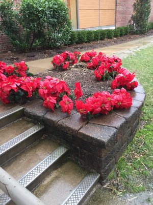 Plastic flowers near the front entrance