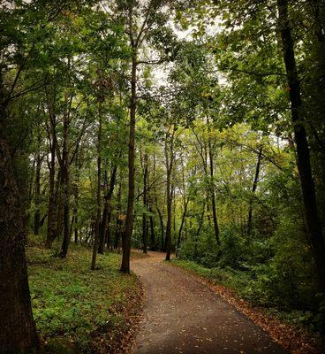 Hike down to the lake and beach park