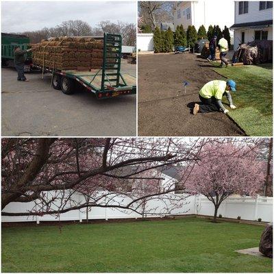 Sod Installation Job