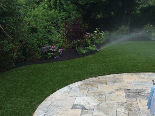 Hard scapes, irrigation, sod and plantings