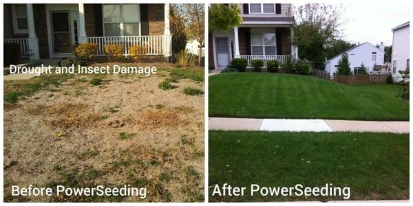 PowerSeeding can help restore a lawn from drought, disease, or insect damage.